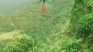 Colombianas na Floresta Se Dão Língua e Fodem com Estranhos Sexo Em Troca De Ajuda Econômica.