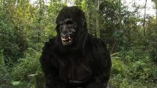 King Dong&amp;#039;s 40oz Studsa!