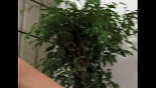 מעטראָ - לעסביאַן געשלעכט - סצענע 8 - עקסטראַקט 2